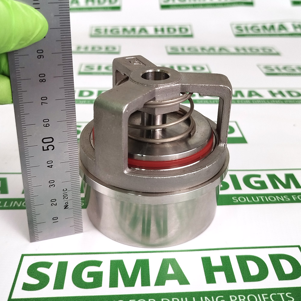 Discharge Valve for FMC L16HV (BG-P533514)