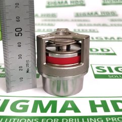 Discharge Valve for FMC L06/L09 (225946025)